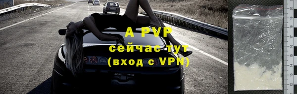 спиды Магас