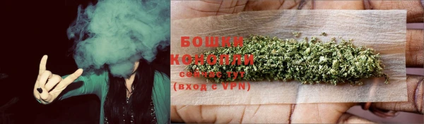 стаф Майский