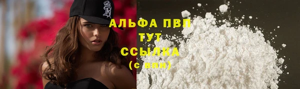 spice Богданович