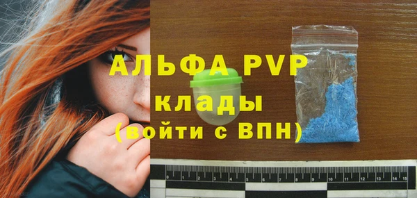 стаф Майский