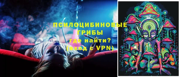 прущие крисы Медвежьегорск