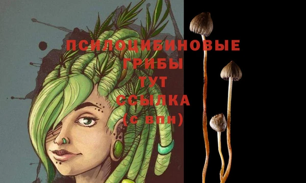 стаф Майский