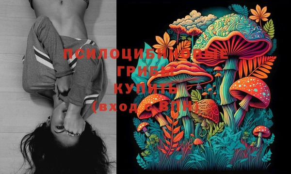 прущие крисы Медвежьегорск