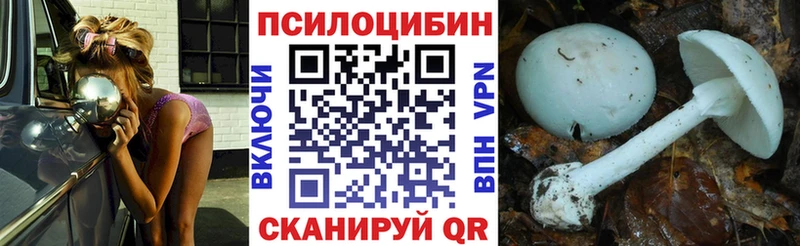 Галлюциногенные грибы MAGIC MUSHROOMS  Электроугли 